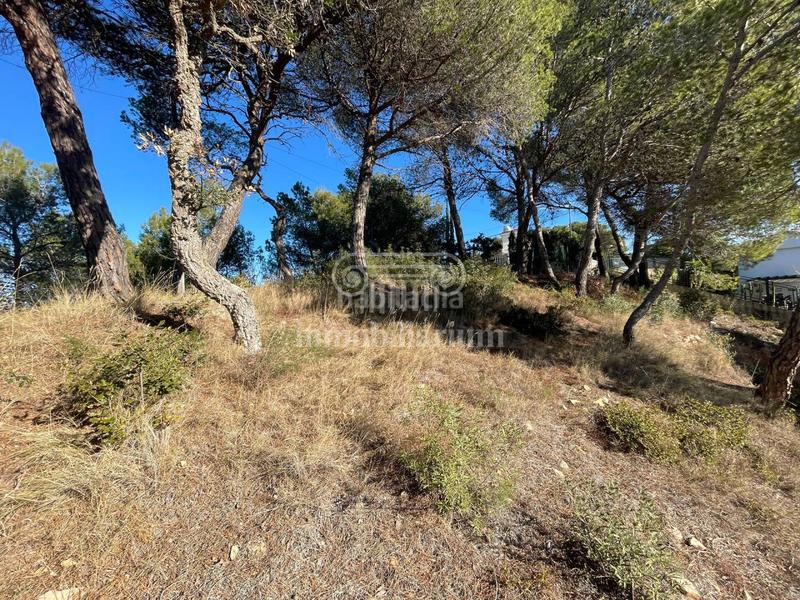 Foto cd3ae18b-a23a-4afe-a757-d36385debf73. Fondo rustico in Santa Cristina-Sant Francesc Blanes
