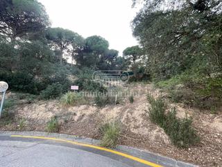 Finca rústica  Alzines. Terreno en venta en la font de sant llorenç