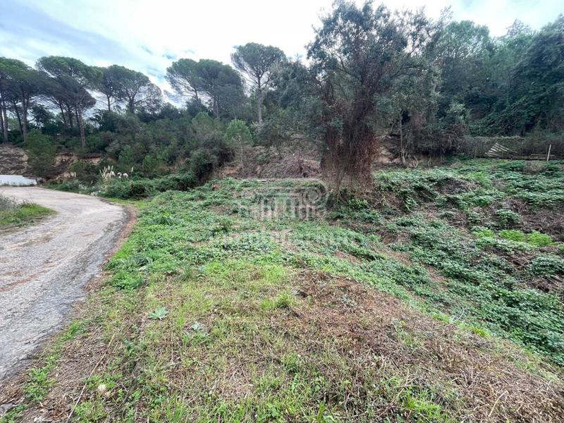 Foto 1f235a7d-3288-42f0-b925-dc4fc1b3a999. Rural plot in Lloret Residencial - Montlloret Lloret de Mar