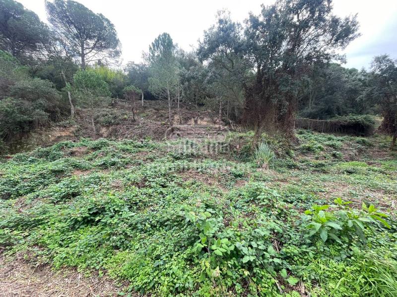 Foto 245b64db-d33b-4650-8f5a-e27339ab9abe. Rural plot in Lloret Residencial - Montlloret Lloret de Mar