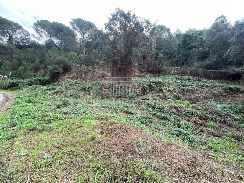 Foto 5d121aac-e312-4bfa-b434-37b1949b5f95. Rural plot in Lloret Residencial - Montlloret Lloret de Mar
