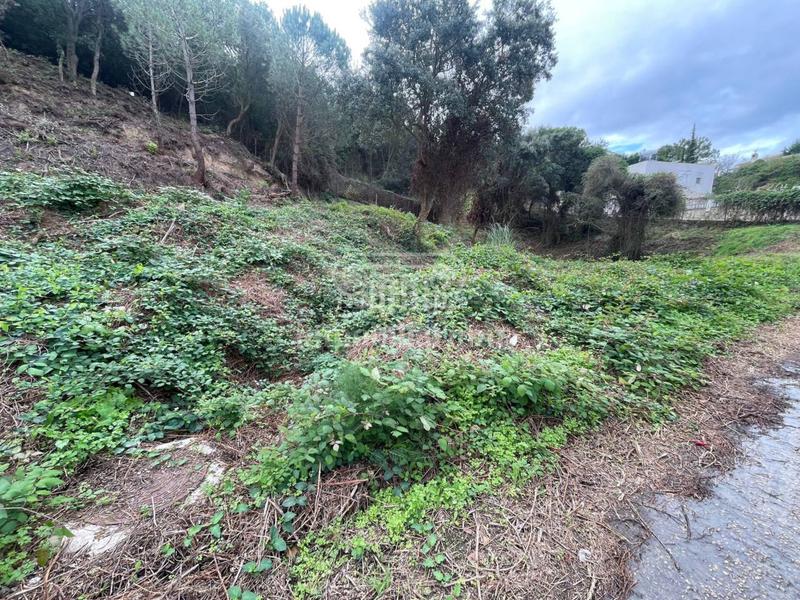 Foto 7891ef3d-7e02-43a9-a299-bae5b1c11c76. Rural plot in Lloret Residencial - Montlloret Lloret de Mar