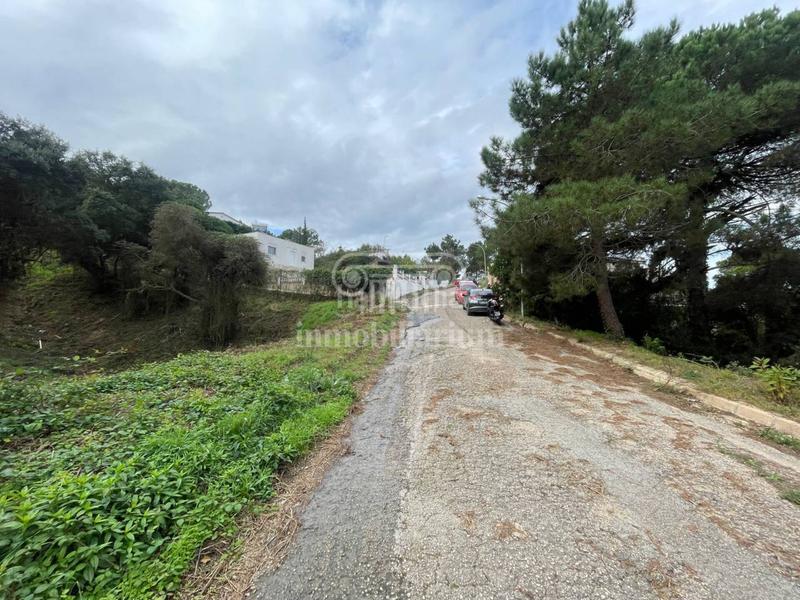 Foto 81965c5d-cceb-4f3d-9679-67fa249c7944. Rural plot in Lloret Residencial - Montlloret Lloret de Mar