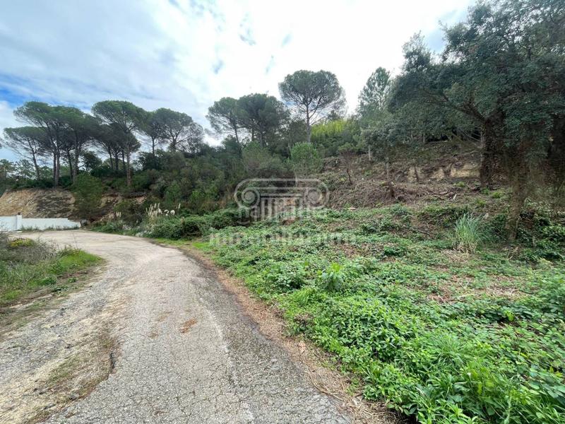 Foto ab8b93e8-5fde-48b6-900c-b9ffee60ff8f. Rural plot in Lloret Residencial - Montlloret Lloret de Mar