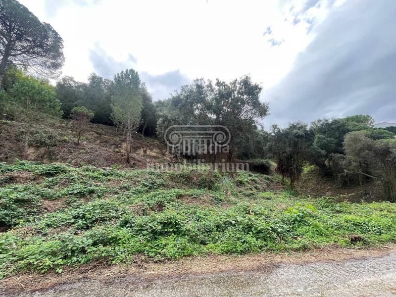 Foto ebe97d67-1ceb-418e-bd2c-3270f18e9233. Rural plot in Lloret Residencial - Montlloret Lloret de Mar