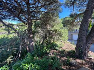 Finca rústica  Versalles. Terreno en venta en lloret de mar  canyellesla montgoda