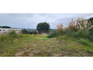 Finca rústica  Violeta. Terreno en venta en vidreres.