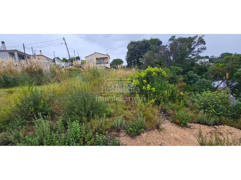Foto 8a2d08b3-959f-4aae-af74-1e15a9cc02e6. Finca rústica terreno en venta . en Aiguaviva Parc Vidreres