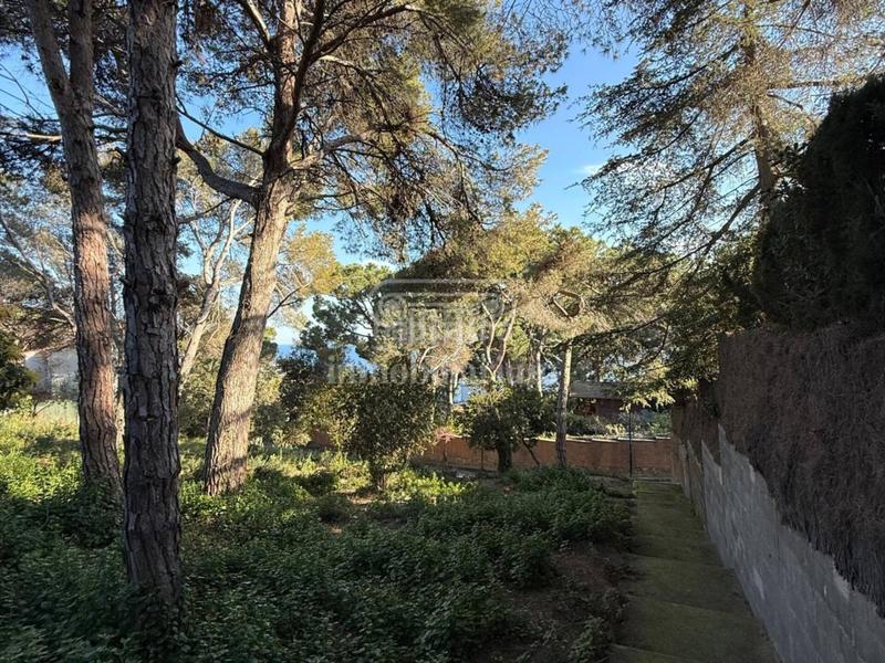 Foto 5bc64941-a965-41e4-a088-a570f629c333. Finca rústica a Montgoda Lloret de Mar