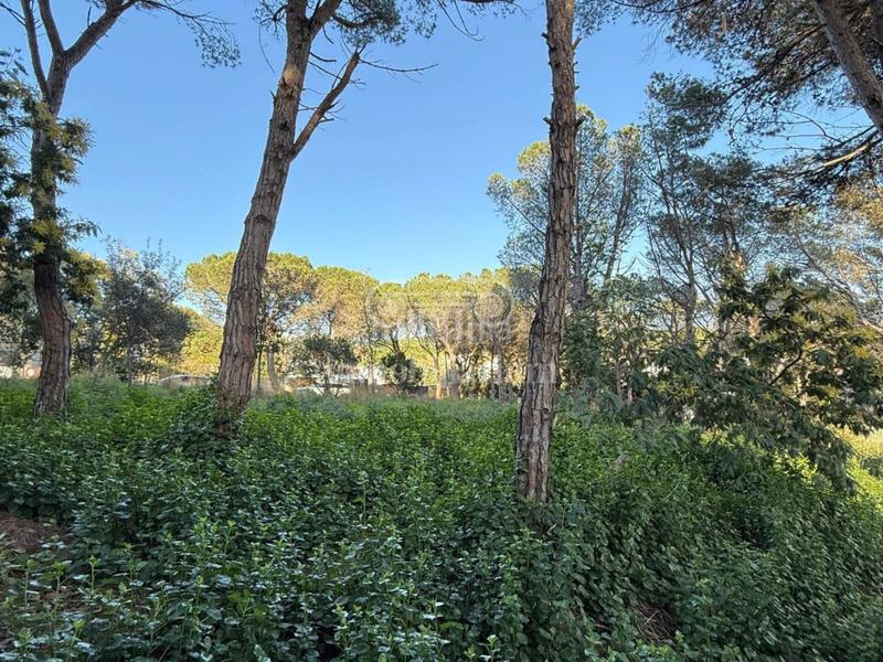 Foto 9e9693cd-e106-48bb-9be4-fb9daf6c67ae. Finca rústica a Montgoda Lloret de Mar