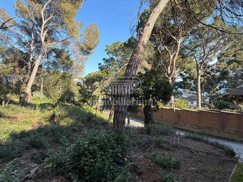 Foto 9eb216a1-6d21-439a-abf6-8d788c2512ab. Finca rústica a Montgoda Lloret de Mar