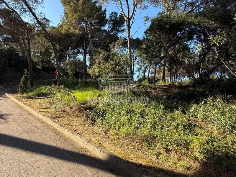 Foto b80bc728-bd5d-4aed-a30d-42ddbfa17f2c. Finca rústica a Montgoda Lloret de Mar