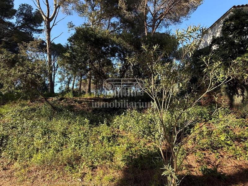 Foto dd367276-0184-4225-8eb8-5352c208a3ef. Finca rústica a Montgoda Lloret de Mar