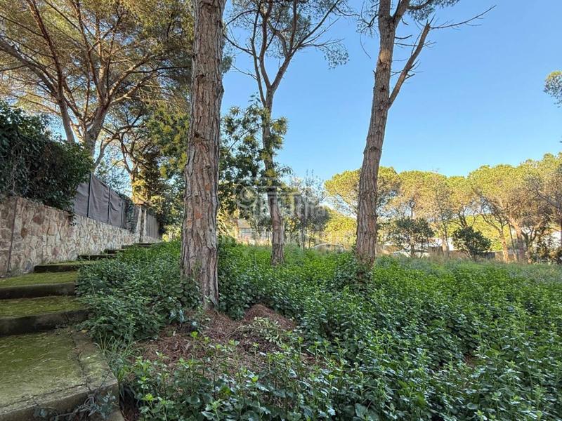 Foto ec5d65eb-e68c-41b5-8514-3f280a1deb0e. Finca rústica a Montgoda Lloret de Mar