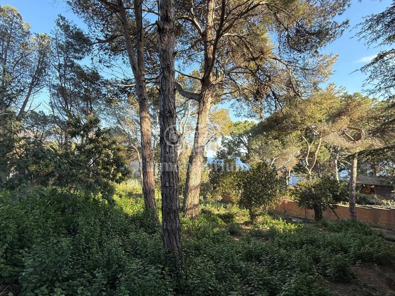 Foto ee43293b-f50e-4fe5-b581-c0a092546f54. Finca rústica a Montgoda Lloret de Mar