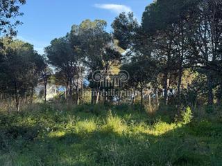 Finca rústica  Cala d´en simon. Terreno en venta en la montgoda.
