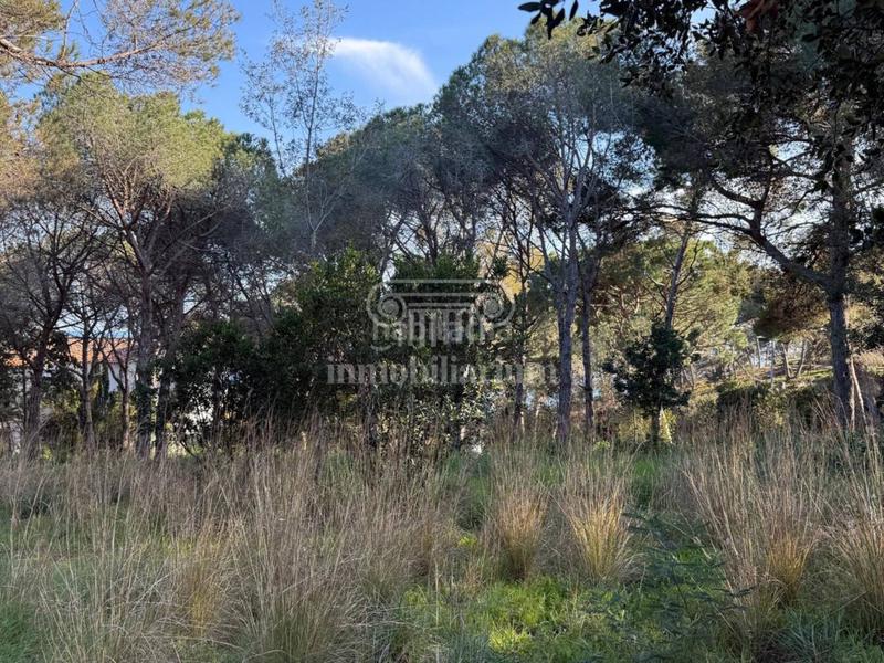 Foto 281bce0b-4e27-4a7b-a032-1b9e1220b463. Finca rústica a Montgoda Lloret de Mar