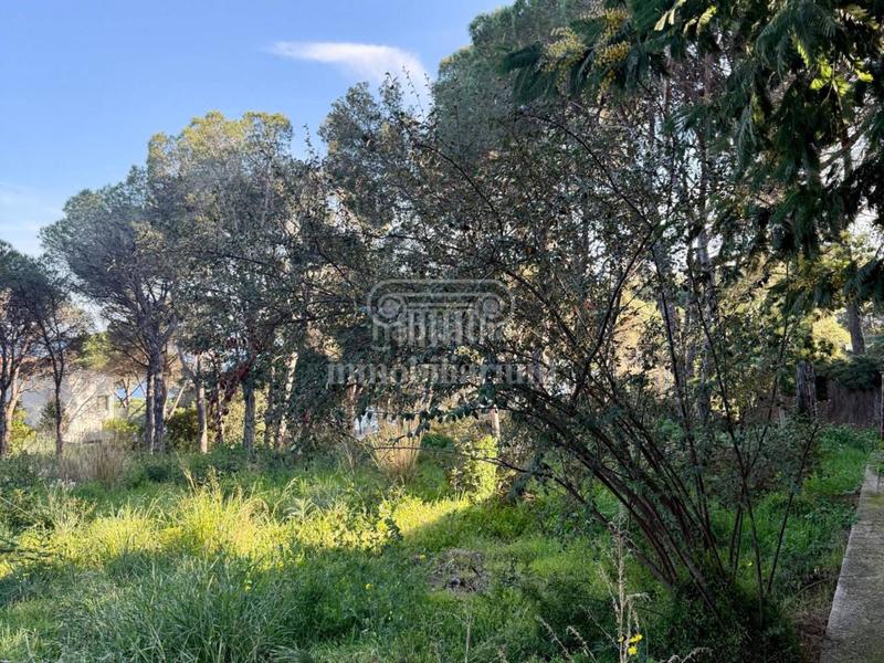 Foto 9ca33adc-63ce-4207-b9b1-6c5ba052df4b. Finca rústica a Montgoda Lloret de Mar