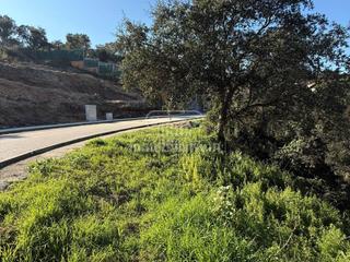 Finca rústica  Alella. Terreno en venta en los pinares