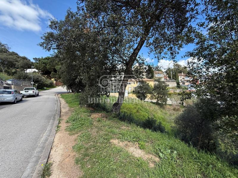 Foto 6e3edc0b-5d31-4c18-8ea3-1c92cdb902c5. Propriété dans Lloret Verd - Els Pinars Lloret de Mar