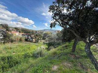 Finca rústica  Alella. Terreno esquinero en venta en los pinares