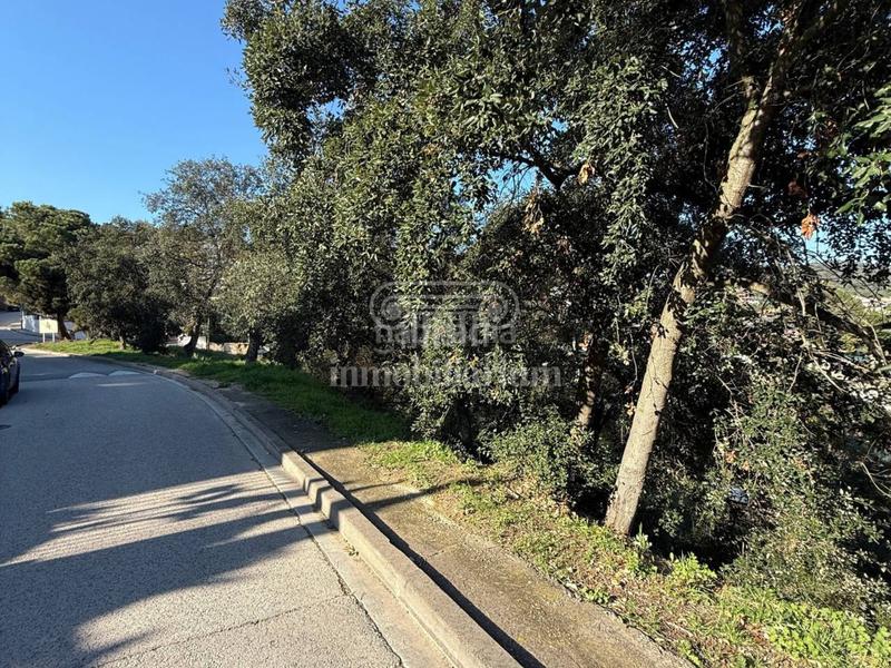 Foto 2de2c006-a136-4b63-8695-ddf506ed5352. Finca rústica terreno en venta en los pinares en Lloret Verd - Els Pinars Lloret de Mar