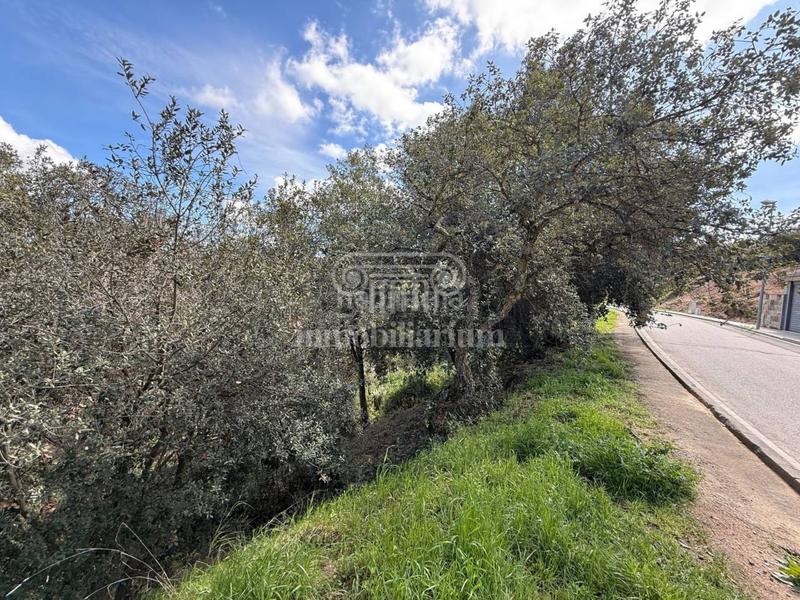 Foto 2eaca035-4f32-4ba8-a288-78f095505be2. Finca rústica terreno en venta en los pinares en Lloret Verd - Els Pinars Lloret de Mar