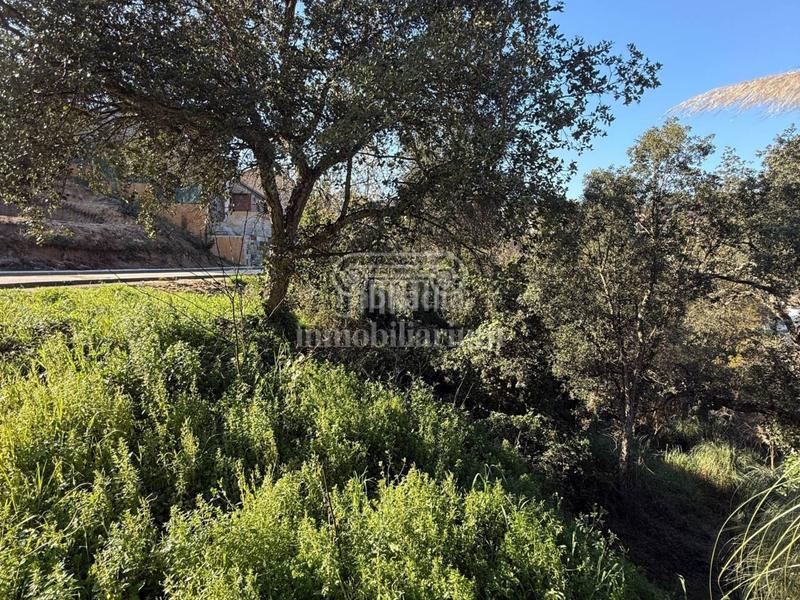 Foto 2f16ece5-c180-49a8-900f-99cd06233838. Finca rústica terreno en venta en los pinares en Lloret Verd - Els Pinars Lloret de Mar
