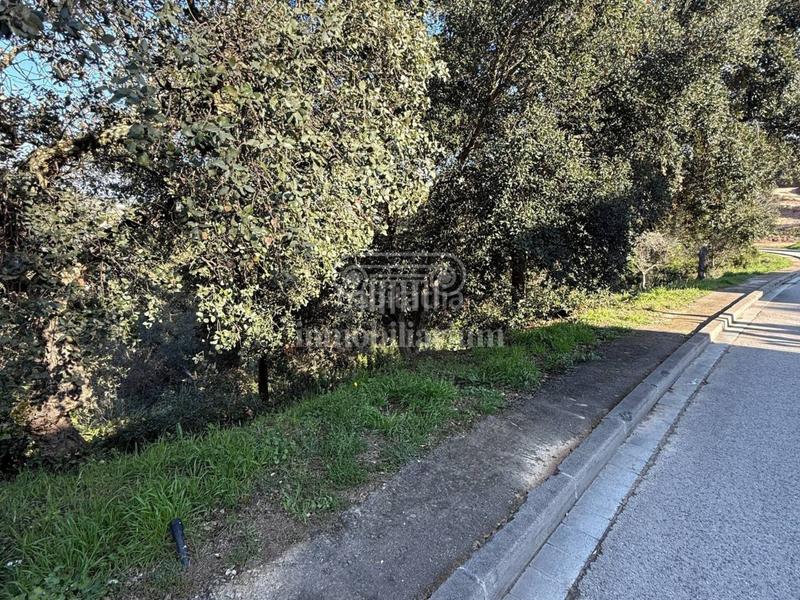 Foto 48d459e3-43aa-4928-9bb2-9bb502647634. Finca rústica terreno en venta en los pinares en Lloret Verd - Els Pinars Lloret de Mar