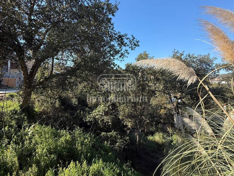 Foto 565744d3-e88e-4ea1-b0ee-71c05e301bfa. Finca rústica terreno en venta en los pinares en Lloret Verd - Els Pinars Lloret de Mar