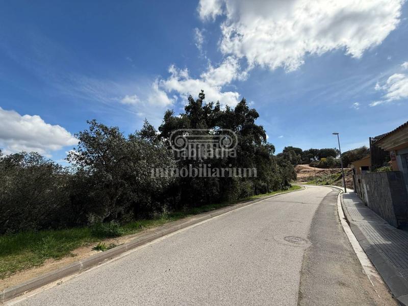 Foto 6d289f0b-cbe0-411d-8db5-1cb500a78f05. Finca rústica terreno en venta en los pinares en Lloret Verd - Els Pinars Lloret de Mar