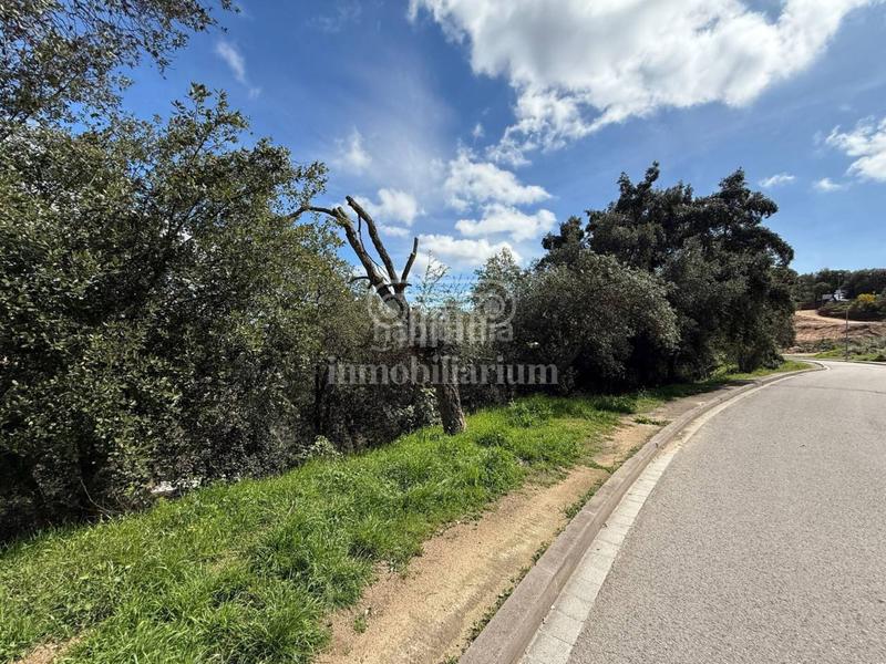 Foto 7c785969-cac3-42e3-8952-48d8c5dae88d. Finca rústica terreno en venta en los pinares en Lloret Verd - Els Pinars Lloret de Mar