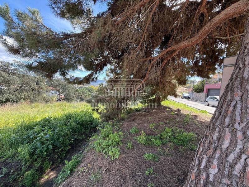 Foto 9fb6cba3-2b7a-4fec-bd7f-16f1ead282d9. Finca rústica terreno en venta en los pinares en Lloret Verd - Els Pinars Lloret de Mar