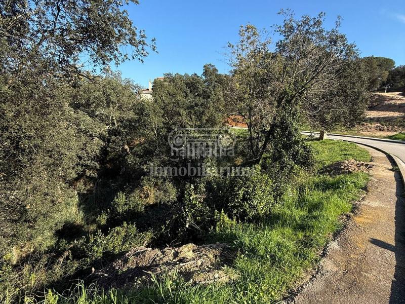 Foto d164ab9a-118f-443f-84ee-cb31e41647ff. Finca rústica terreno en venta en los pinares en Lloret Verd - Els Pinars Lloret de Mar