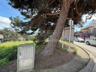 Finca rústica  Alella. Terreno en venta en los pinares