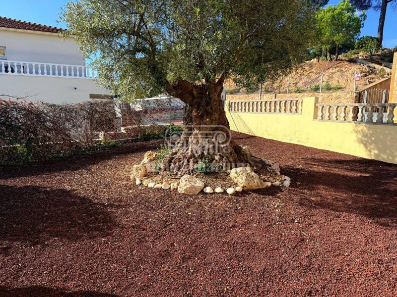 Foto 1fa54274-2e86-447b-93e3-67f38256b4cc. Maison avec chauffage parking piscine dans Lloret Verd - Els Pinars Lloret de Mar