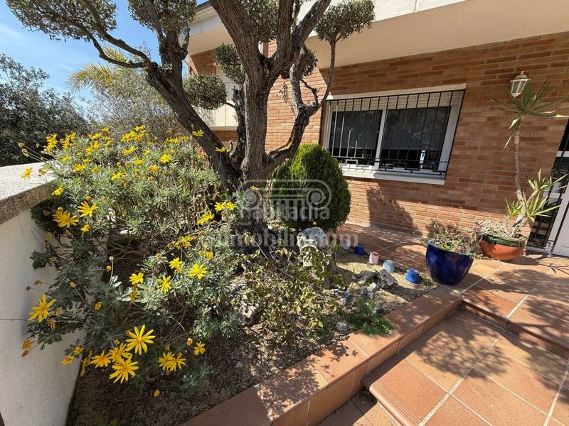Foto ccf3a87d-6ccc-41a1-800a-7ac89d2732b9. Casa amb calefacció aparcament piscina a Mont Ferrant-Joan Carles I Blanes