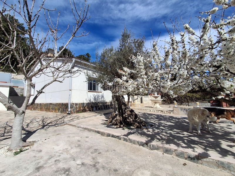 Foto 808e2689-14d0-44b1-a5bf-528a3eea6be9. Casa amb calefacció piscina a Aiguaviva Parc Vidreres