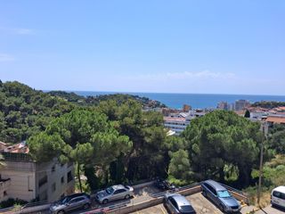 Apartament a Mas Baell-Can Carbó. Apartamento de una habitación en venta en la zona del selvamar