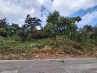 Terreny residencial a Lloret Blau - La Creu de Lloret