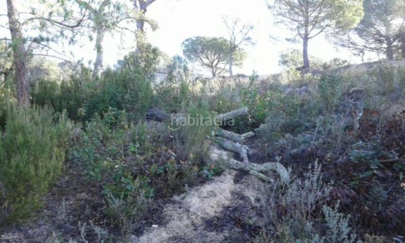 Foto c4462de2-0a24-45da-b45f-c7bcb24c25ec. Wohngrundstück in Lloret Residencial - Montlloret Lloret de Mar