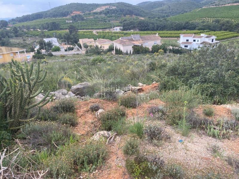 Foto 5b82e005-11d6-483c-bac1-cdf112a0d6b5. Terreno residencial suelo urbano en san cristobal. en Alberic
