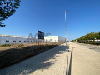 Solar industrial a Avenida ullals dels 8. Suelo urbano de uso industrial en venta en masalaves