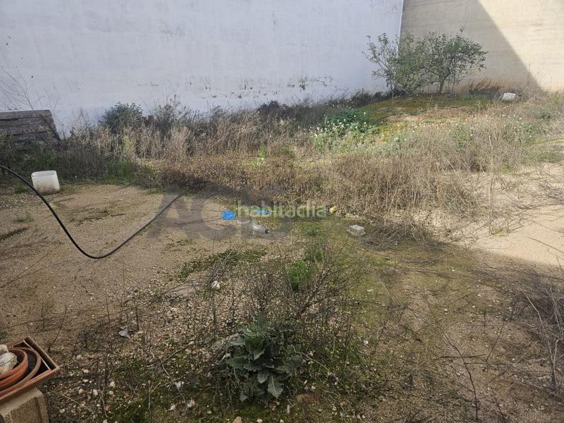 Foto cbb76692-3c5d-45b3-85a3-a6a2fdd6c426. Terreno residenziale in Alcúdia (l´)