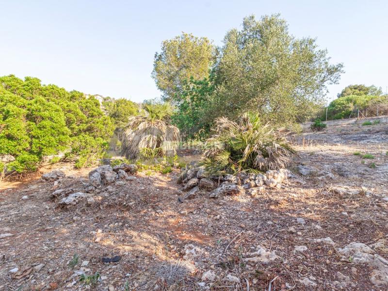 Foto 0c895da2-fef9-4f30-bc33-26fd3a2fcc09. Chalet  en venta en san cristobal en Alberic