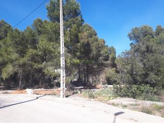 Residential Plot in Alberic. Parcela en venta en alberic