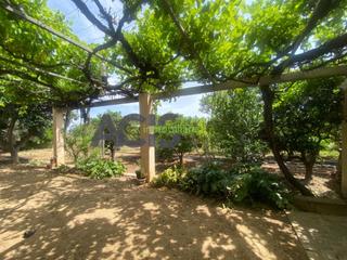 Mas à Masalavés. Caseta campo en masalaves en venta