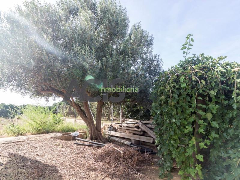 Foto ccf8e5ad-c1e6-457c-a4e9-a5749fa015bc. Casale con piscina in Masalavés