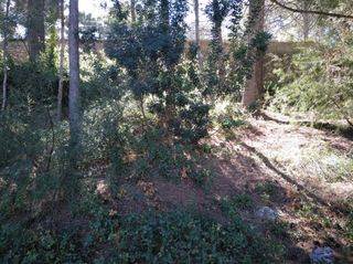 Terreno residenziale in Gestalgar