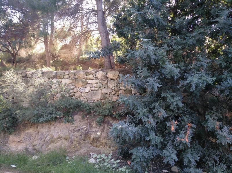 Foto 59292a92-6d4a-43e0-bc11-cd3cf6f755ee. Terreny residencial a Gestalgar